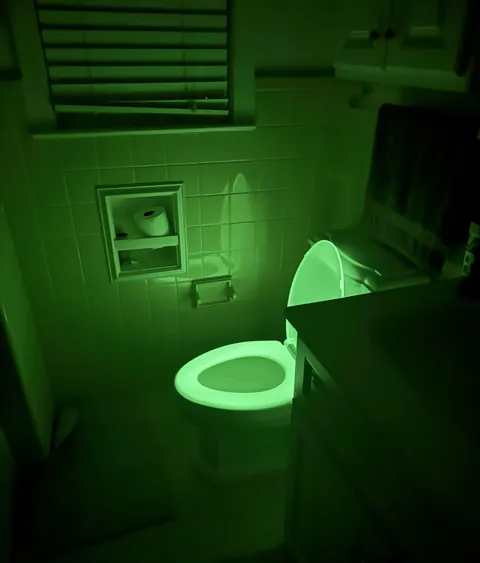 The house we moved-in to has a glow in the dark toilet seat