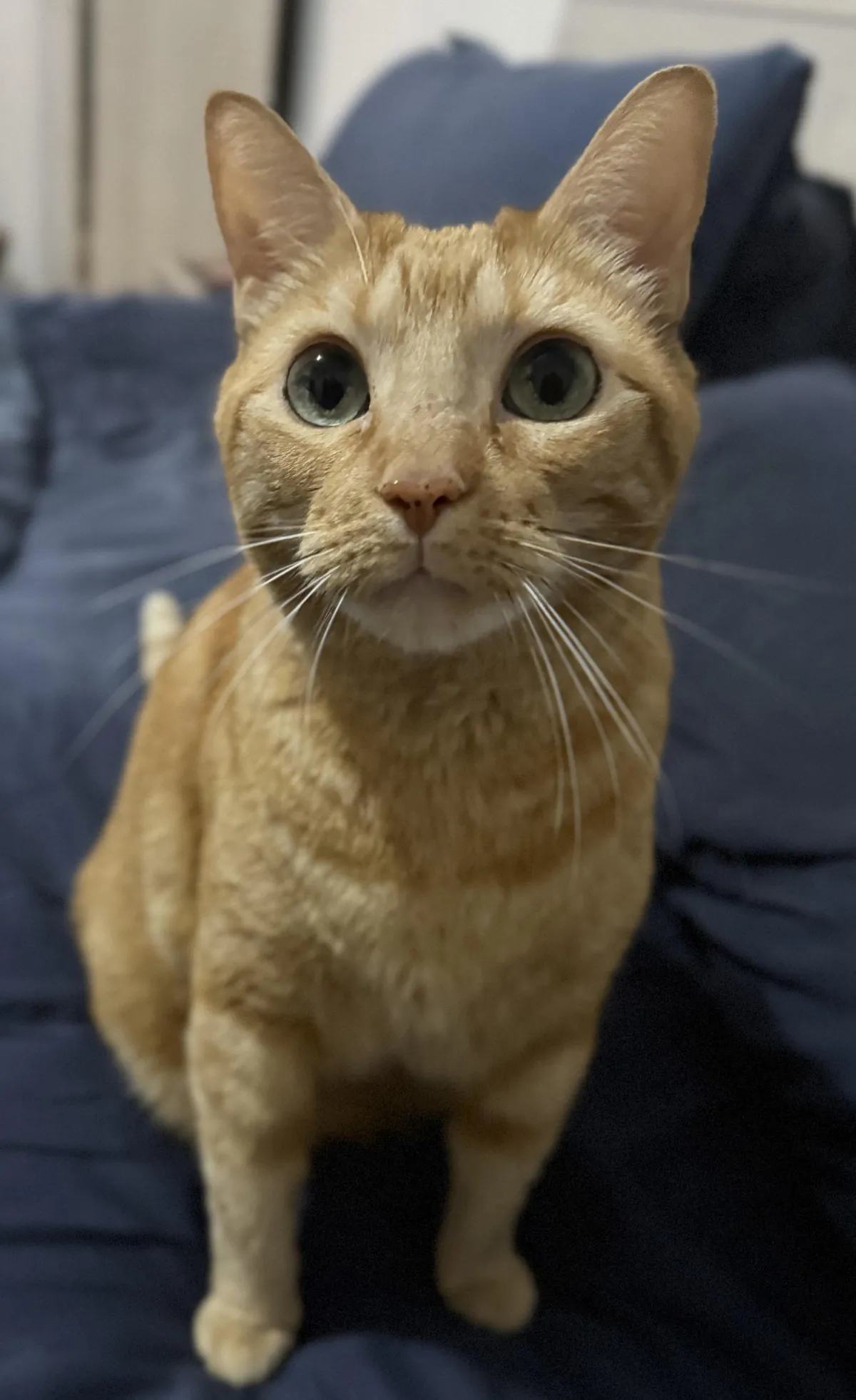 Is he really ugly 😞?