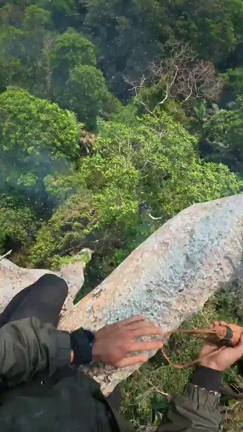 Chasing bees away by hand and harvesting honey high up