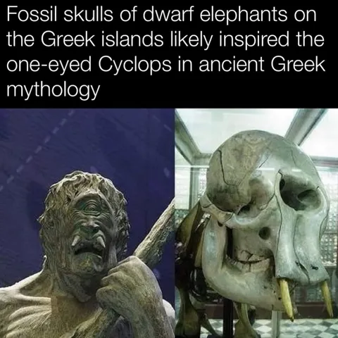 Dwarf Elephants