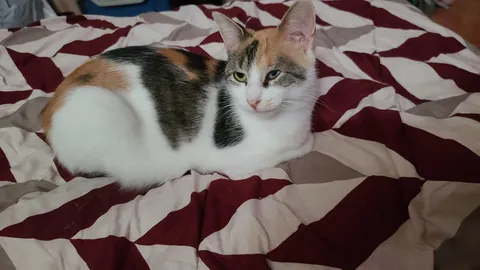 Born with no EyeBalls (anophthalmia)... My Beauty Queen