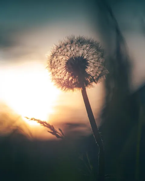 Broken, but still standing