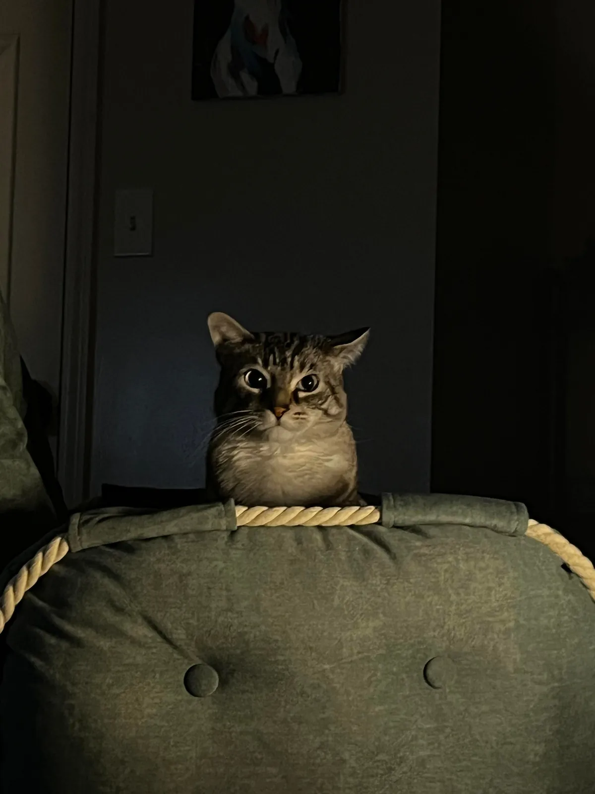 Woke up at 2 am and rolled over…