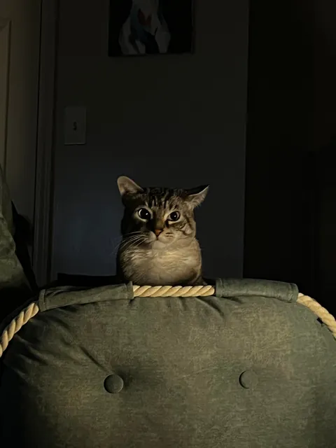 Woke up at 2 am and rolled over…