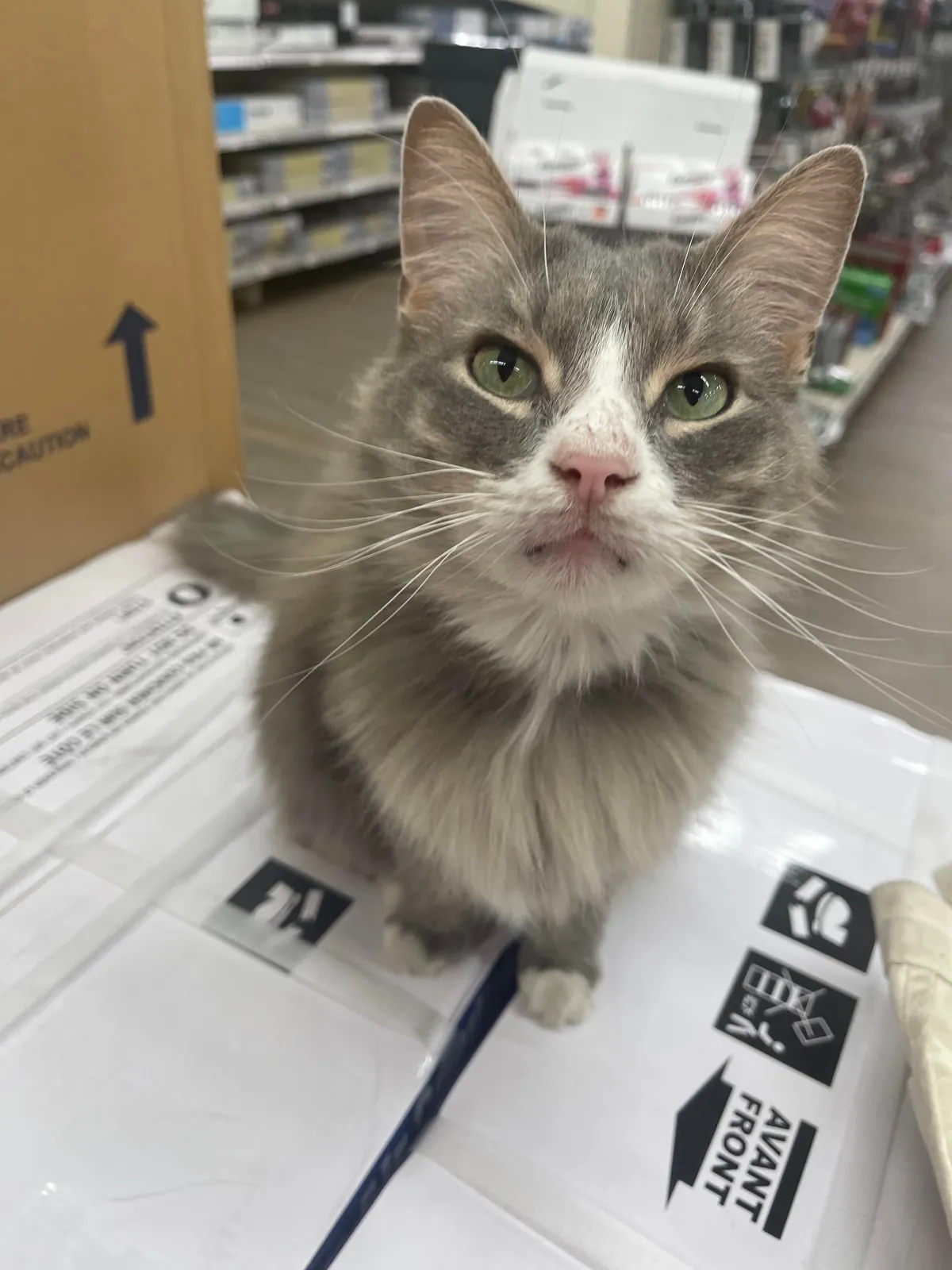 Didn’t realize that hardware store employees take payment in uppies these days