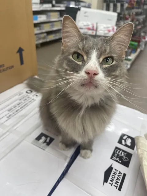 Didn’t realize that hardware store employees take payment in uppies these days