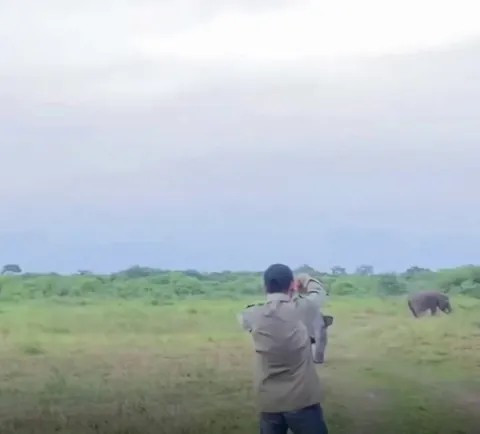 Baby elephant gets miffed as the caretaker playfully dodges its hug.