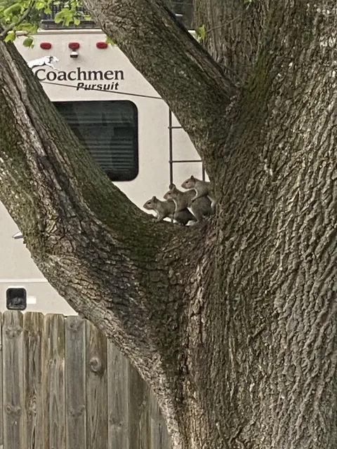 I got your back, bro