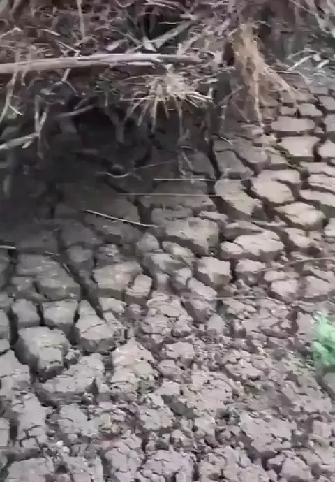 The parched earth of the Namoi River bed, NSW, Australia, getting its first river flow in over 8 months