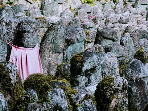 Japan in November 2025 - pure magic