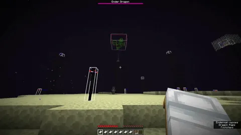 You can kill the dragon in one perch!