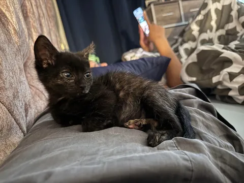 From 6oz to fat ❤️