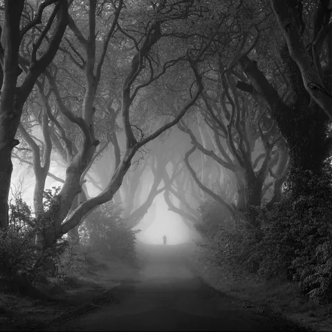 ITAP of a man in the fog