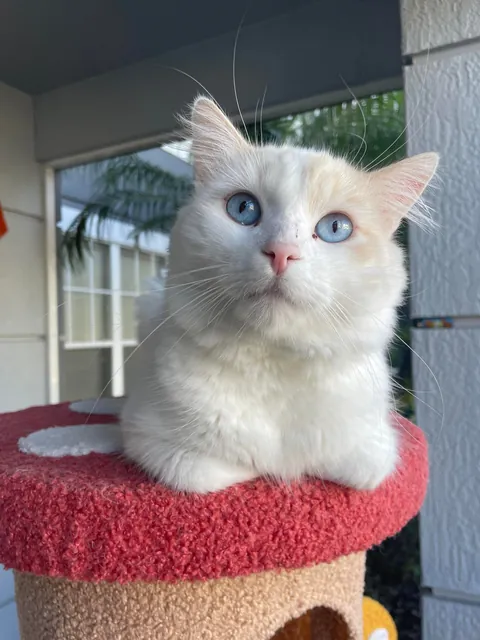 my son and his transformation pics!!