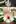 Cursed Doll [M/F] (Dagasi)