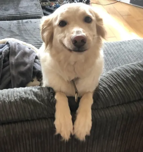 When you tell her a story that she doesn't understand, but she loves you anyway 😍