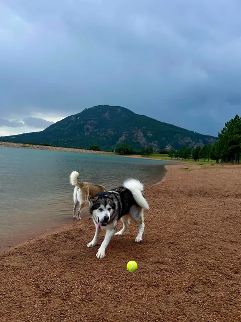 One of my favorite pictures I’ve ever taken - and the goofiness leading up to it!