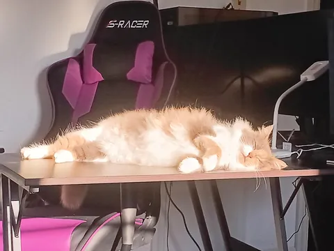 Delivered a pizza and came home with the best tip ever