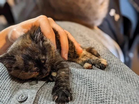 Update #2 - Elsa the ice princess is a celebrity!