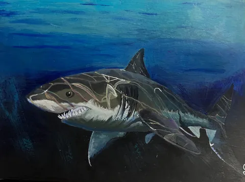 I am an animal artist. Nature inspires me. I hope my art inspires you too