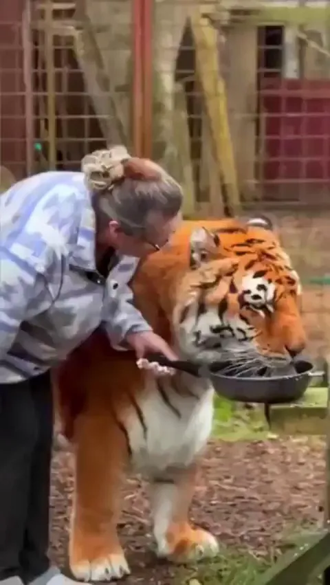 This caretaker and the tiger, who was born blind, have been together for 20 years.
