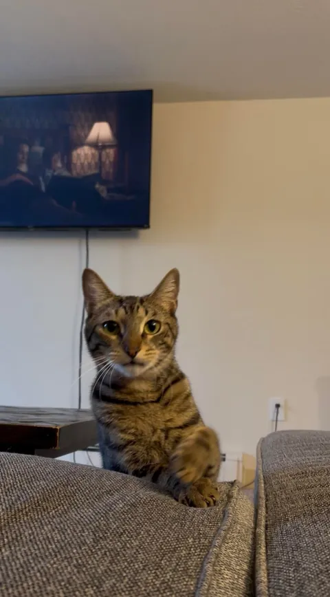 Please try to enjoy each pic equally