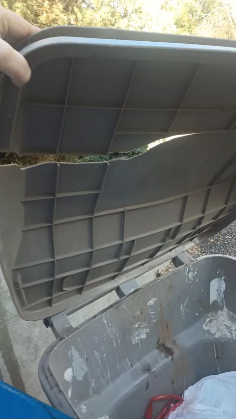 My neighbor swapped their broken trashcan with ours.