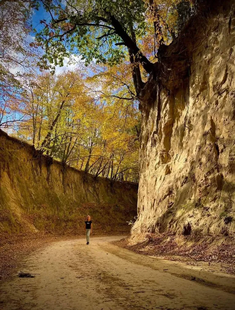 Level B road in western Iowa