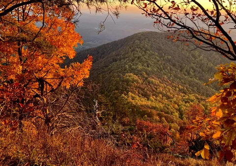 🔥Autumn in northern Georgia (US)