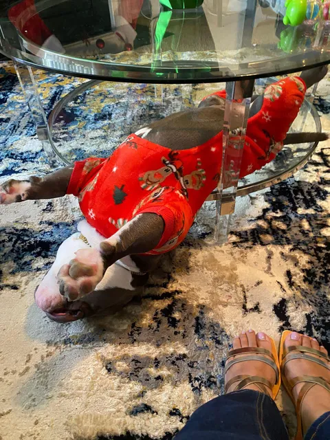 Uh guys, is he broken or what?