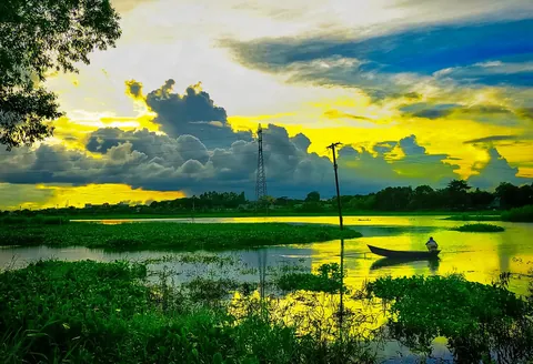 Definition of beauty