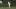 A caddy hits a hole in one infront of Golf Legends