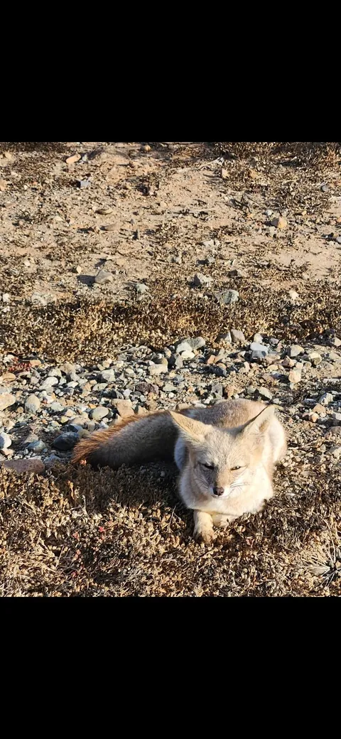 A few pics from my first time in Chile