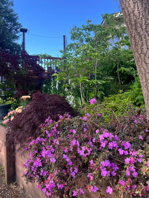 If you love your garden, it’ll love you back (Pt 2)