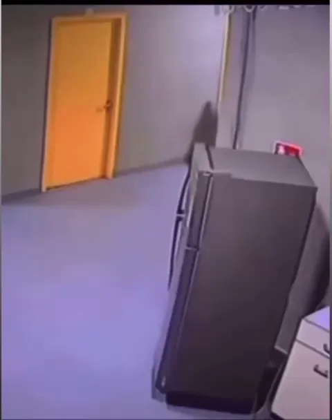 Refrigeratoral Rampage