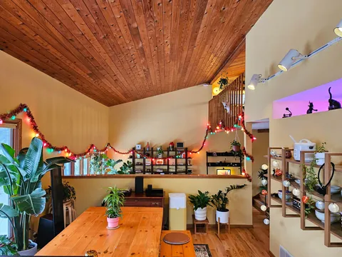 My home in Minnesota, cozied up for the long winter