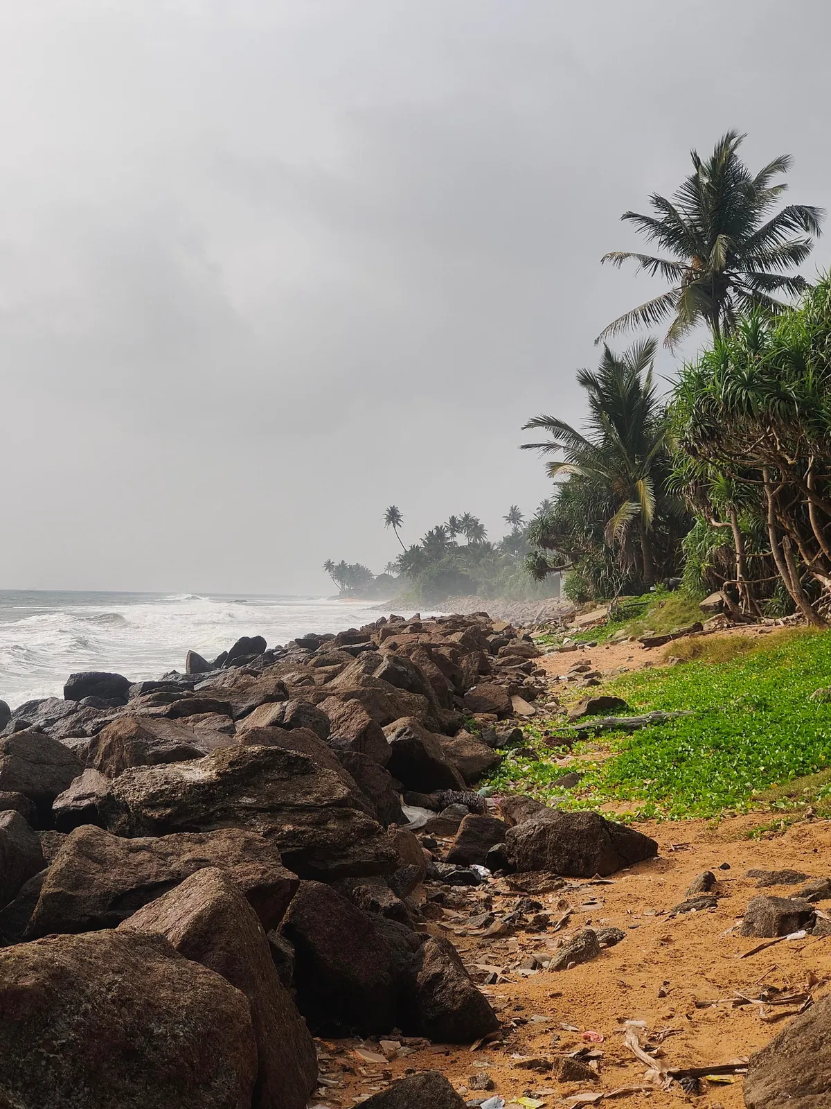 Sri Lanka : sun, tuk-tuks and mild disappointments.