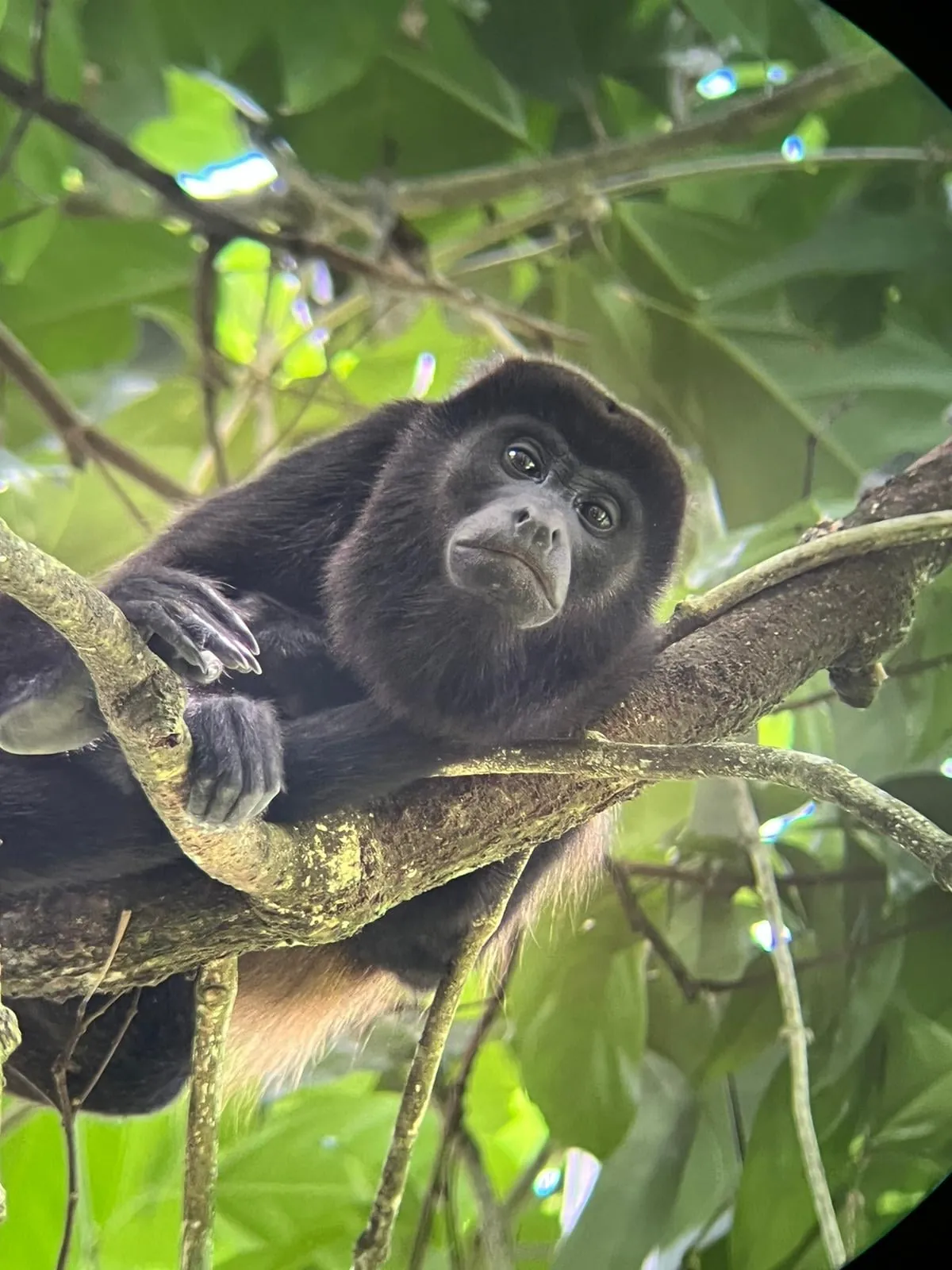 One Year in Latin America, Mexico to Patagonia