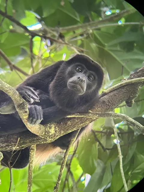 One Year in Latin America, Mexico to Patagonia