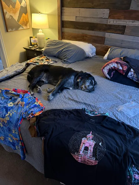 Coal’s Phases of Folding Laundry