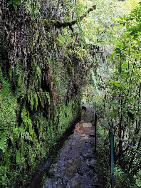 Madeira is a paradise for nature lovers. Five days on the island in pictures.