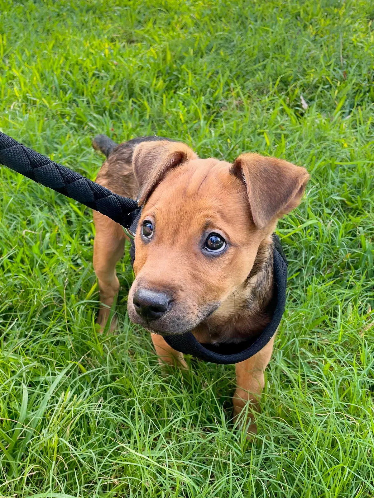 Hector through the years. Which is your favourite photo
