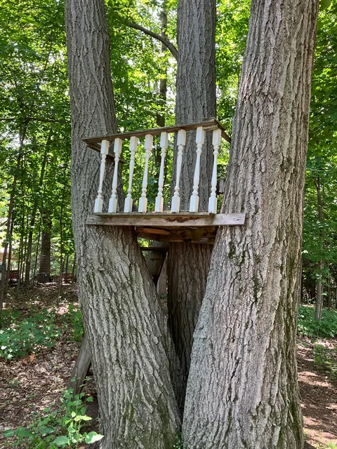 Tree fort for my kids.  The last 4 pics are what the previous tree fort looked like when we bought the property in May