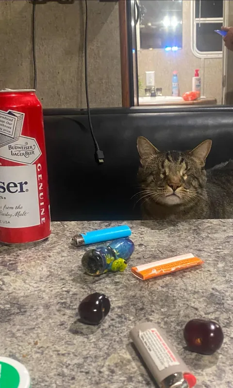 Said goodbye to my eyeless boy