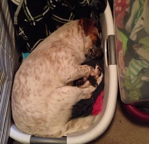 More pictures of Chief being unapologetically himself