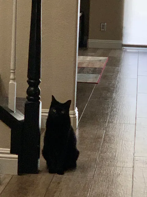 I’ll never stop loving you