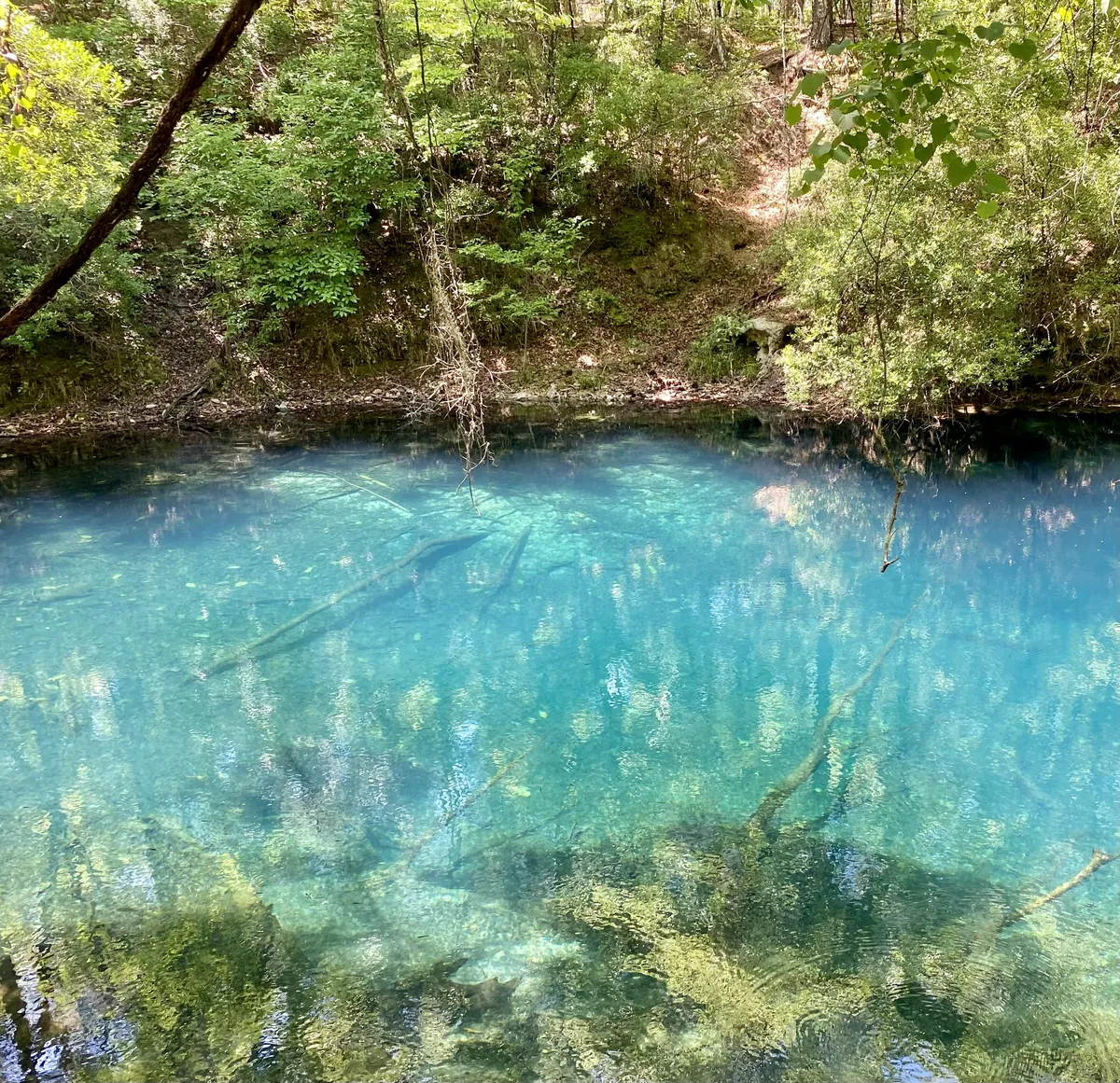 The color and clarity of this water