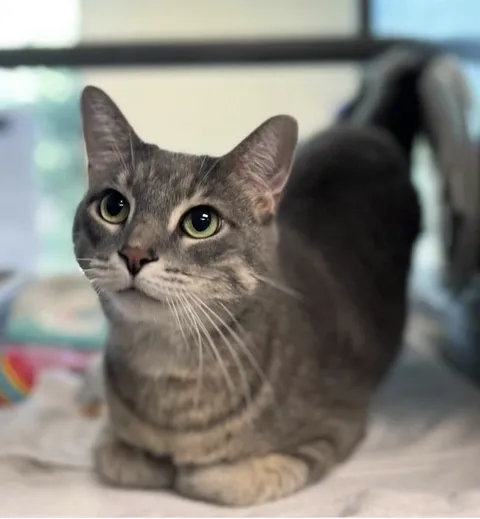 Guess I'm a cat person now 