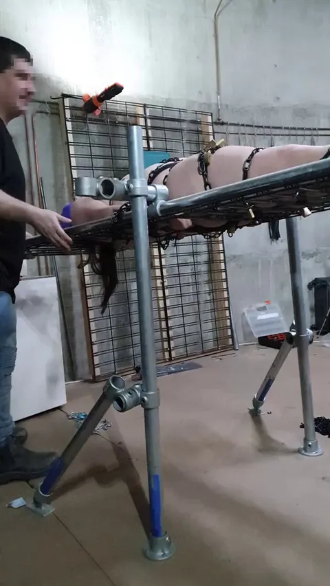 I love my new fidget spinner! [F][F][M]