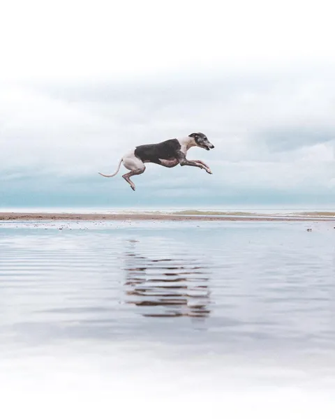 The sploosh was glorious!